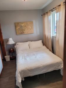a bedroom with a large bed with a window at Compact But Cozy Too in Anchorage