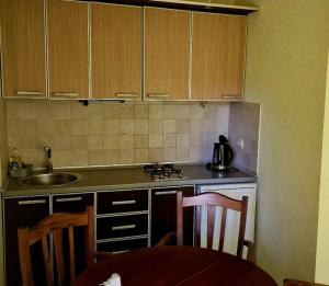 Kuchyň nebo kuchyňský kout v ubytování Apartmani Crypto House