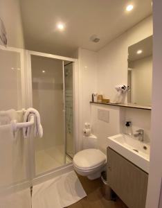 y baño con aseo, ducha y lavamanos. en Hôtel du Grand-Mont, en Beaufort