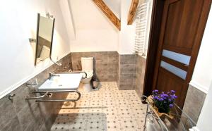 een badkamer met een wastafel en een toilet bij Hotel Charlotta in Jedlina-Zdrój