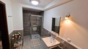 een badkamer met een wastafel en een glazen douche bij Hotel Charlotta in Jedlina-Zdrój