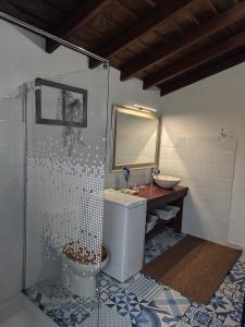 a bathroom with a shower and a toilet and a sink at Casa Julián in Garafía