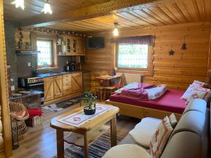 a living room with a bed and a kitchen in a log cabin at Chata Nikola in Ždiar