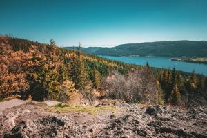 a view of a mountain with a lake in the background at cozy Black Forest Tiny House close to lake in Schluchsee