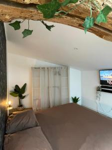 Postel nebo postele na pokoji v ubytování Casa del Jaguar + 34 fotografií