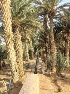 dos personas caminando a través de una fila de palmeras en Zagora Oasis Lodge, en Zagora