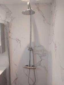 a shower in a bathroom with marble walls at 't Vakansie'uus in Serooskerke