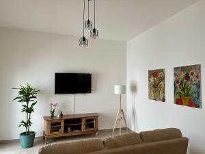 ein Wohnzimmer mit Couch und Flachbildfernseher in der Unterkunft AMA Home in Nardò