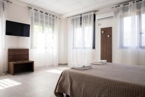 1 dormitorio con 1 cama, TV y ventanas en Pennaluce, en Vasto