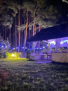 Ogród w obiekcie Willa Boho Cudo