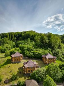 uma vista superior de uma casa na floresta em Царська Долина em Neresnytsya