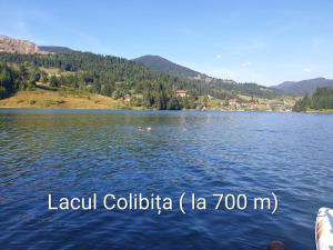 una vista di un lago con le montagne sullo sfondo di Montana Resort Colibita a Colibiţa