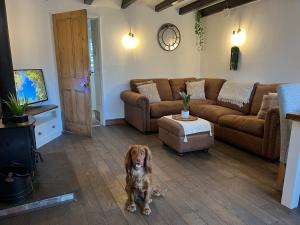 Et tv og/eller underholdning på 40 High street Cottage