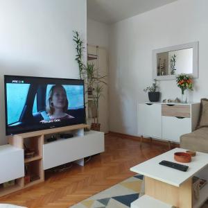 a living room with a large flat screen tv at Apartment ADA RB Belgrade in Čukarica