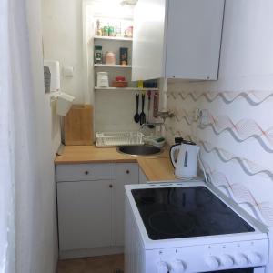 a small kitchen with a stove and a sink at Apartment ADA RB Belgrade in Čukarica