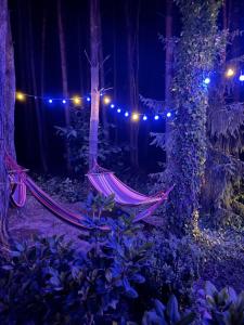 Ogród w obiekcie Willa Boho Cudo