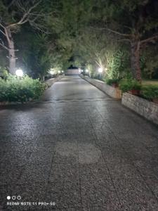 LatianoにあるVilla Paradisoの夜の木々の空き道