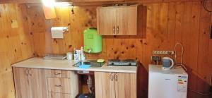a kitchen with wooden walls and a counter with a sink at Еко Садиба Під Полониною in Sasivka