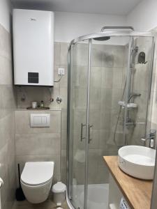 Koupelna v ubytování Apartment Bivio