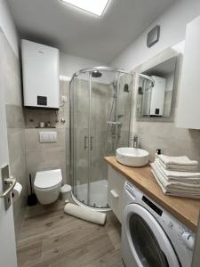 Koupelna v ubytování Apartment Bivio