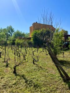 Galeriebild der Unterkunft Villa Alberto in Sulmona