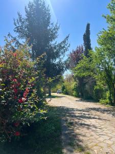 una strada sterrata con alberi e fiori sopra di Villa Alberto a Sulmona