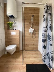 uma casa de banho com um chuveiro e um WC. em Zielona Dolina Sarbinowo em Sarbinowo