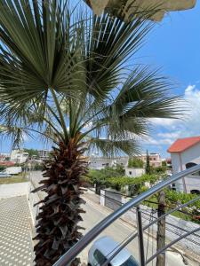 a palm tree sitting on top of a balcony at Vacation house villa roni in Durrës
