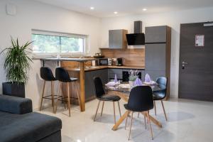 a kitchen and living room with a table and chairs at Apartmaji Živa in Gornja Radgona