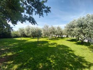 Zdjęcie z galerii obiektu Hacienda MATEA - jacuzzi, pool, playground & bbq in an olive grove near beaches, Pula - Istria w Puli