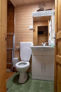 a bathroom with a toilet and a sink at Cabin Storzek in Pohorje