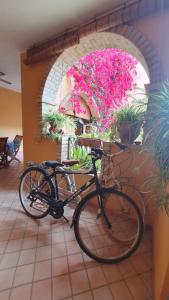 Jazda na bicykli v okolí ubytovania Villasimius P.Terra - Centro Paese