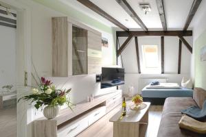 Apartments am Schlosspark في سنفتنبرغ: غرفة معيشة مع أريكة وتلفزيون