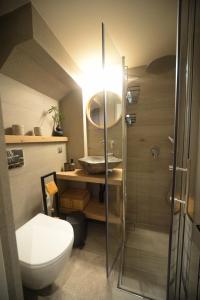 a bathroom with a shower and a toilet and a sink at To Stenaki Apartments in Kalymnos