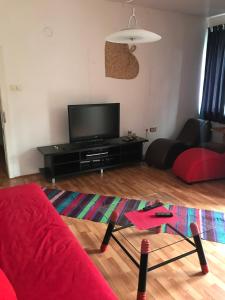 Un televizor și/sau centru de divertisment la Apartman