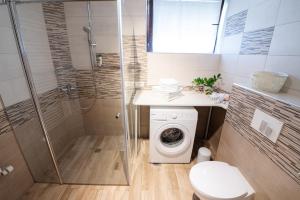 a bathroom with a washing machine and a shower at APARTMA JAKOPIČ in Zgornje Gorje