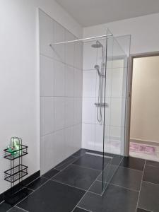 een douche met een glazen deur in de badkamer bij Broomhill Barns in Minwear