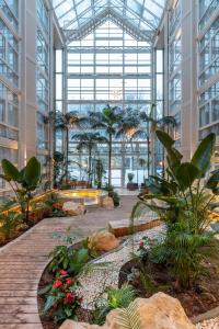 فندق راديسون بلو رويال غاردين، تروندهايم في تروندهايم: مبنى زجاجي كبير فيه اشجار ونباتات