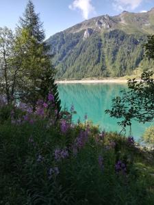 a view of a mountain lake with purple flowers at Haus Martina in Sand in Taufers