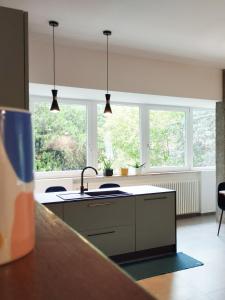 eine Küche mit einem Waschbecken und zwei Fenstern in der Unterkunft A casa di Twiggy in Bologna