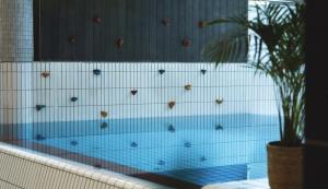 a swimming pool with a tiled wall and a plant at Koselig fjellhytte i Trysil Ski & Turmuligheter in Trysil