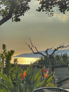 B&B Relais da Clorinda في أسشيا: إطلالة على المحيط من حديقة بها زهور