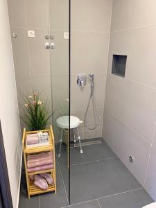 een douche met een glazen deur en een wastafel in de badkamer bij Apartments Cintya in Poreč