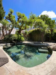 una piscina d'acqua con alberi in un cortile di Resort Villa Flavio a Ischia