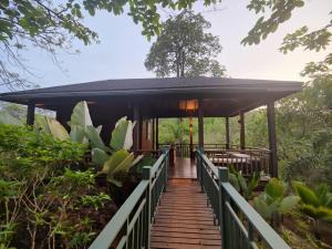 a wooden walkway leading to a building in a forest at The Postcard Hideaway, Netravali Wildlife Sanctuary, South Goa in Vichondrem