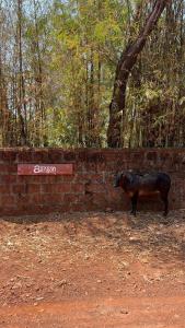 Billede fra billedgalleriet på Aangan by Gokarma Living i Gokarna