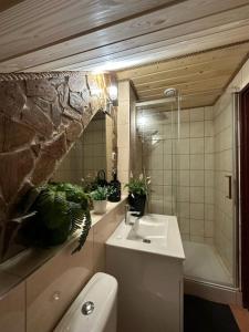 y baño con lavabo, aseo y ducha. en Domki letniskowe pod Brzozami Stella, en Polańczyk