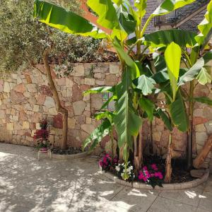 una pared de piedra con un montón de plantas y flores en Garda Sweet Apartments, en Arco