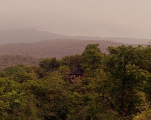 una cabina in mezzo a una foresta di alberi di The Postcard Hideaway, Netravali Wildlife Sanctuary, Goa a Vichondrem