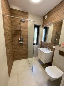 a bathroom with a shower and a toilet and a sink at Apartamenty Lipowy Zakątek in Iława